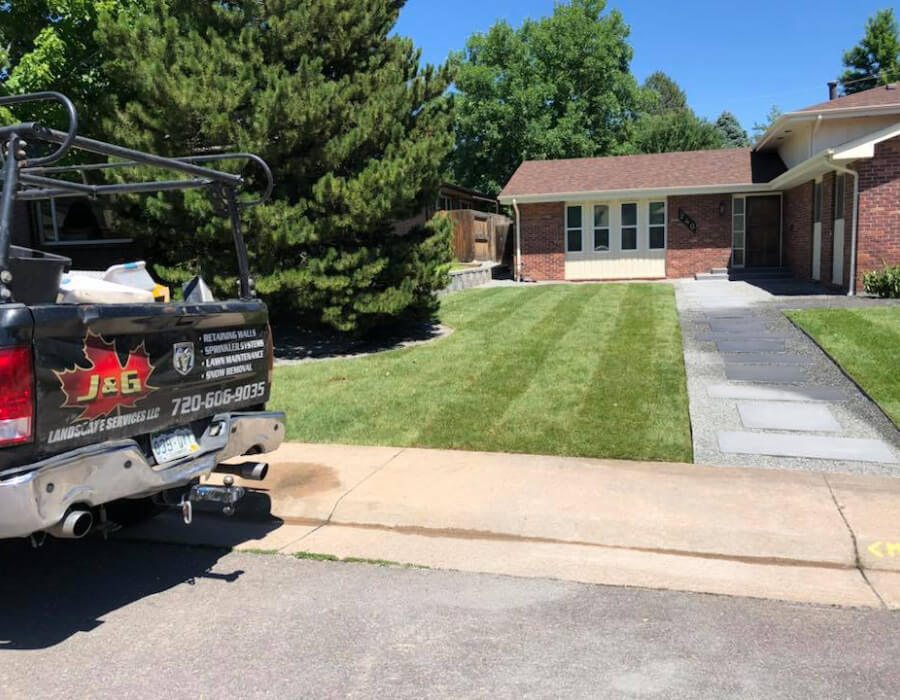 lawn care maintenance